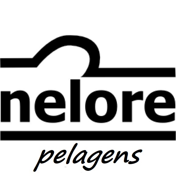 NELORE PELAGENS