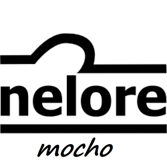 NELORE MOCHO